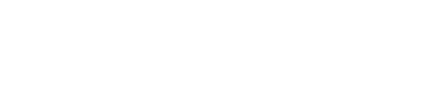 Bestin Capital logo
