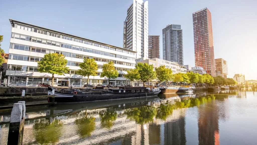 Office buildings by the harbour in Rotterdam, representing the Dutch B2B market